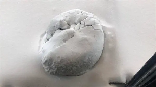Lapa lapa yağan kar, sokak köpeğine 'örtü' oldu Lapa lapa yağan kar, sokak köpeğine 'örtü' oldu