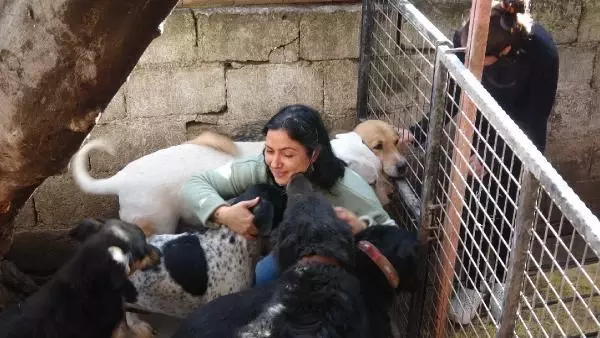 Son dakika haberleri... Sokak köpeklerinin öldüğünü gören hayvansever gözyaşlarına hakim olamadı Son dakika haberleri... Sokak köpeklerinin öldüğünü gören hayvansever gözyaşlarına hakim olamadı