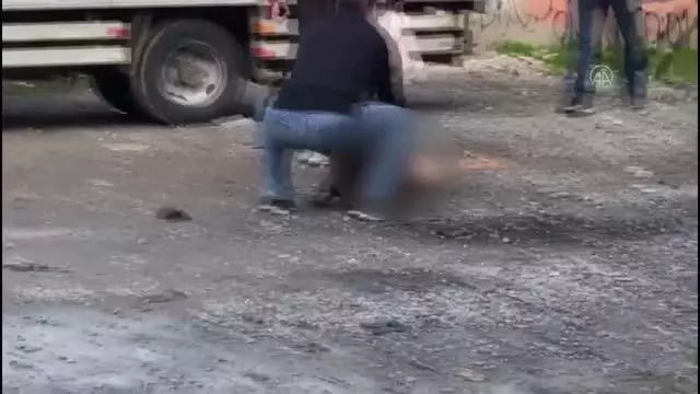 Sultangazi'de ağızlıksız dolaştırılan pitbull, sokak kedisine saldırdı Sultangazi'de ağızlıksız dolaştırılan pitbull, sokak kedisine saldırdı