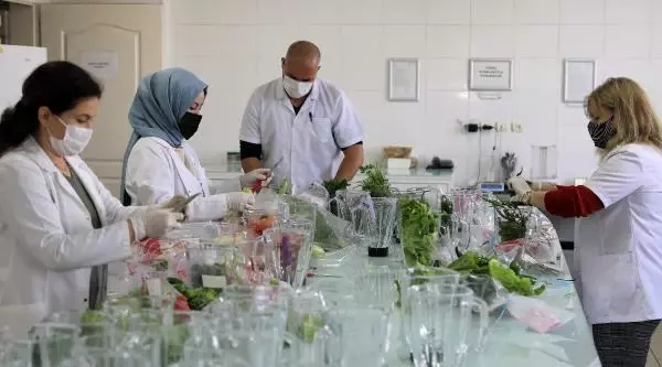 Turizm kenti Antalya'da tüketilen gıdalar laboratuvarda inceleniyor Turizm kenti Antalya'da tüketilen gıdalar laboratuvarda inceleniyor