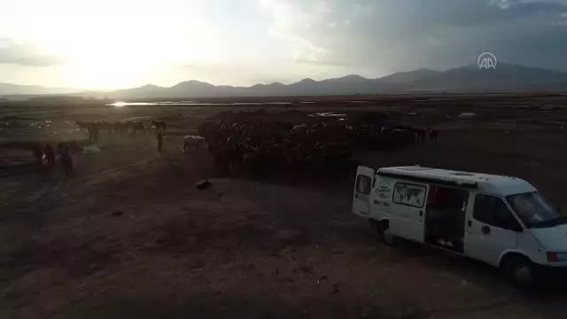 Yılkı atlarıyla ünlü Hürmetçi Sazlığı, doğa tutkunlarının vazgeçilmez adresleri arasında yer alıyor Yılkı atlarıyla ünlü Hürmetçi Sazlığı, doğa tutkunlarının vazgeçilmez adresleri arasında yer alıyor