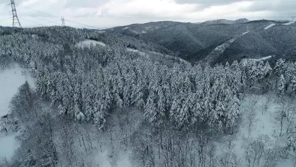 Zonguldak ormanlarında kar güzelliği Zonguldak ormanlarında kar güzelliği