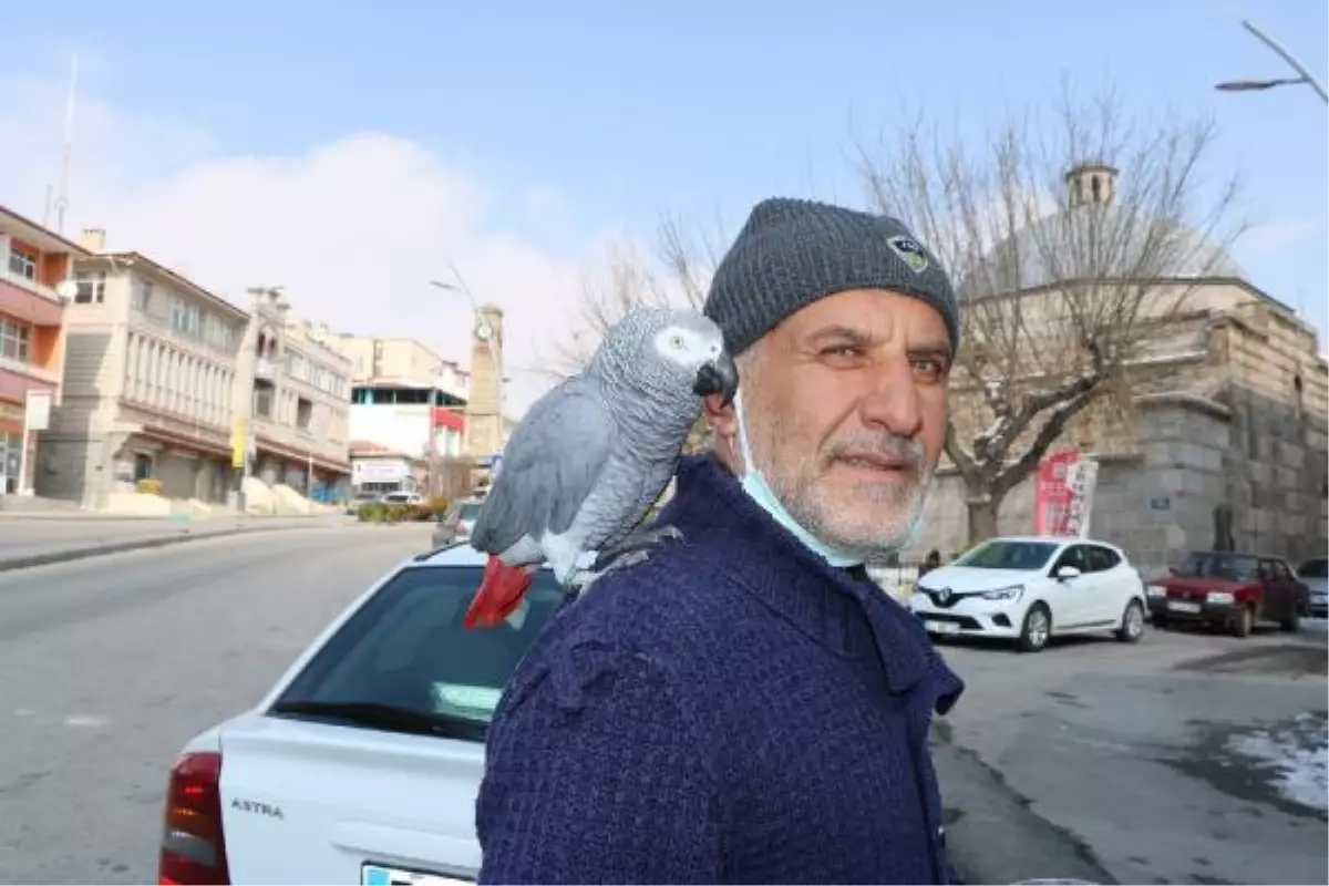 14 yıldır papağını omzundan indirmiyor