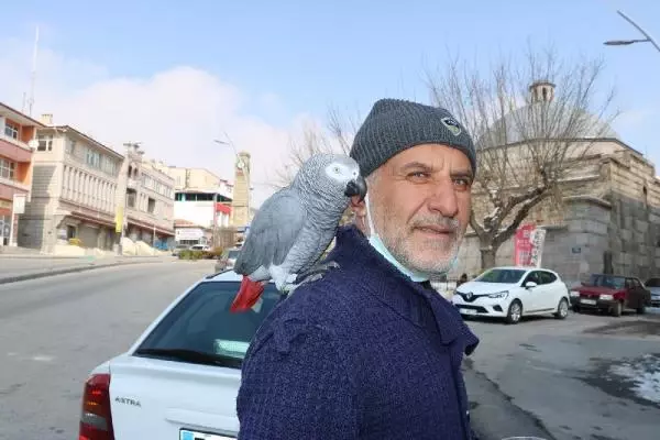 14 yıldır papağını omzundan indirmiyor 14 yıldır papağını omzundan indirmiyor