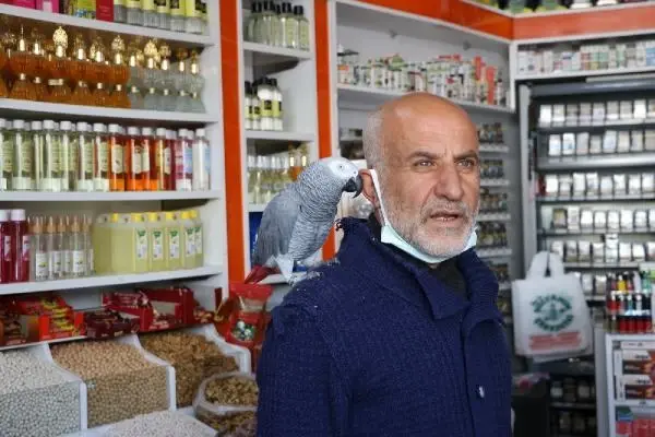 14 yıldır papağını omzundan indirmiyor 14 yıldır papağını omzundan indirmiyor