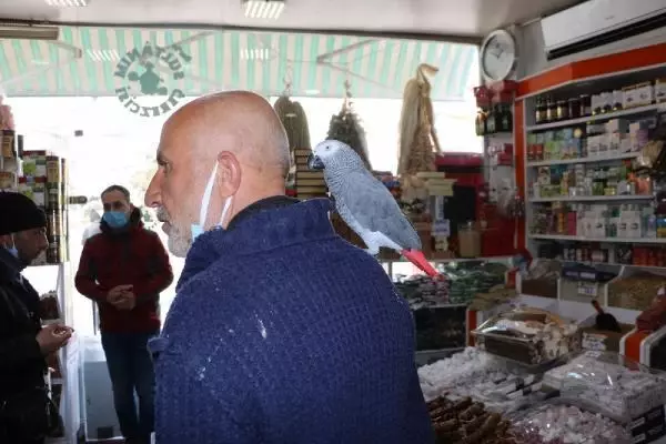 14 yıldır papağını omzundan indirmiyor 14 yıldır papağını omzundan indirmiyor