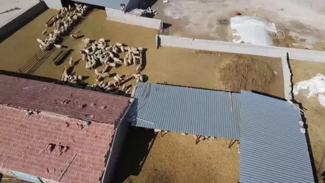 Besicilerin zorlu mesaisi Besicilerin zorlu mesaisi