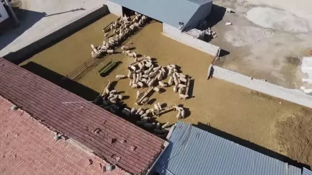 Besicilerin zorlu mesaisi Besicilerin zorlu mesaisi