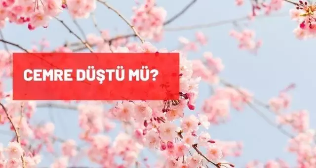 Cemre düştü mü? İlk cemre düştü mü? Cemre nereye düşecek? İlk cemre nereye düşecek? Cemre düşmesi nedir? Cemre düştü mü? İlk cemre düştü mü? Cemre nereye düşecek? İlk cemre nereye düşecek? Cemre düşmesi nedir?