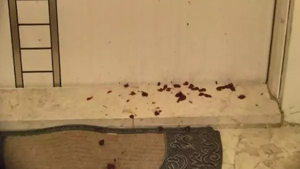 Komşu çocuklarının başına pis su döken kadın, şimdi de ailenin kapısını reçele buladı Komşu çocuklarının başına pis su döken kadın, şimdi de ailenin kapısını reçele buladı