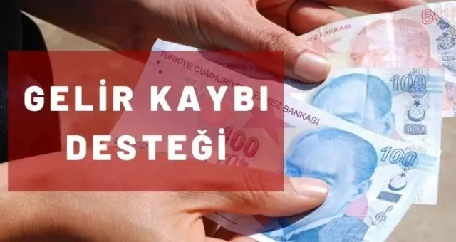 Gelir kaybı desteği ne zaman ödenecek? Gelir kaybı Şubat ödemeleri ne zaman? Gelir kaybı desteği ne zaman ödenecek? Gelir kaybı Şubat ödemeleri ne zaman?
