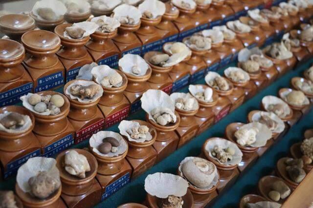 Hataylı doktordan hayrete düşüren koleksiyon; kimisi 22 santim, kimisi 650 gram Hataylı doktordan hayrete düşüren koleksiyon; kimisi 22 santim, kimisi 650 gram