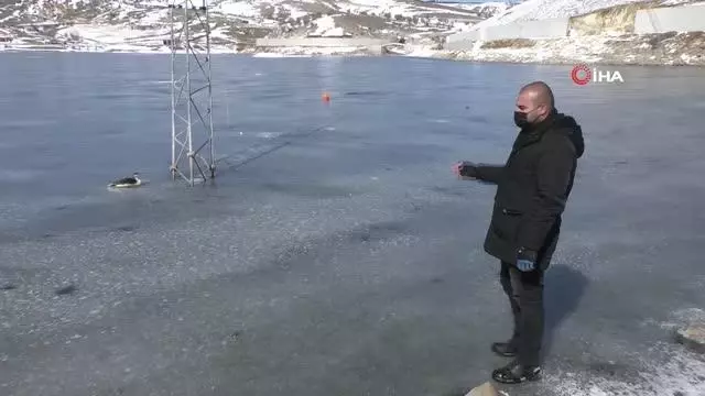 İtfaiye ekipleri buz tutan gölde donmak üzere olan kuşu kurtardı İtfaiye ekipleri buz tutan gölde donmak üzere olan kuşu kurtardı