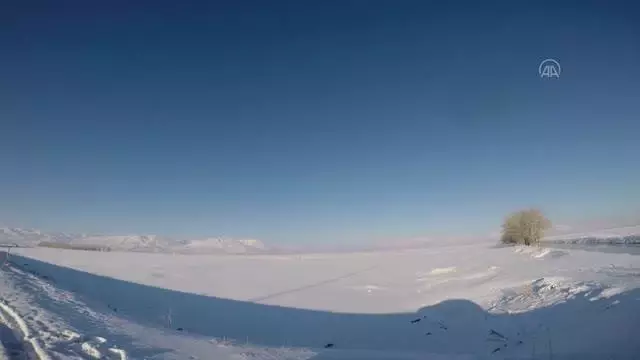 Kar yağışı sonrası doğada güzel görüntüler oluştu Kar yağışı sonrası doğada güzel görüntüler oluştu