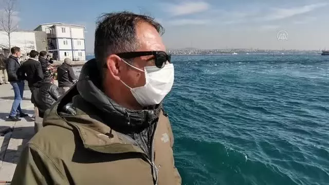 Son dakika haber | Karaköy İskelesi'nde ölü yunus bulundu Son dakika haber | Karaköy İskelesi'nde ölü yunus bulundu
