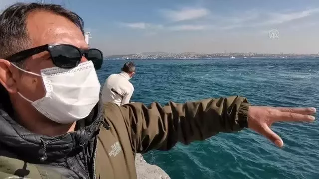 Son dakika haber | Karaköy İskelesi'nde ölü yunus bulundu Son dakika haber | Karaköy İskelesi'nde ölü yunus bulundu