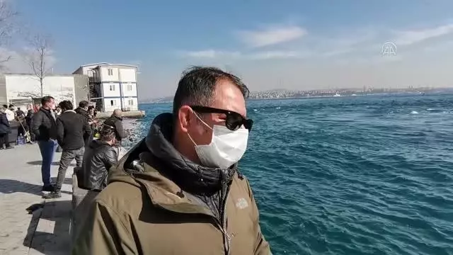 Son dakika haber | Karaköy İskelesi'nde ölü yunus bulundu Son dakika haber | Karaköy İskelesi'nde ölü yunus bulundu