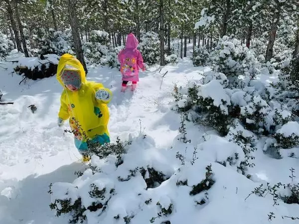 Minikler, kuşların aç kalmaması için ağaçlara meyve astı Minikler, kuşların aç kalmaması için ağaçlara meyve astı