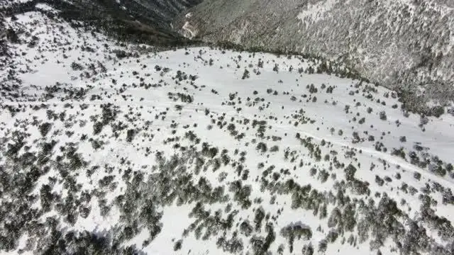 Murat Dağı'na, yaban hayvanları için yem bırakıldı Murat Dağı'na, yaban hayvanları için yem bırakıldı