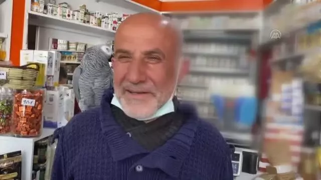 Müşterilerini omzundan ayırmadığı papağanı 'Paşa' ile karşılıyor Müşterilerini omzundan ayırmadığı papağanı 'Paşa' ile karşılıyor