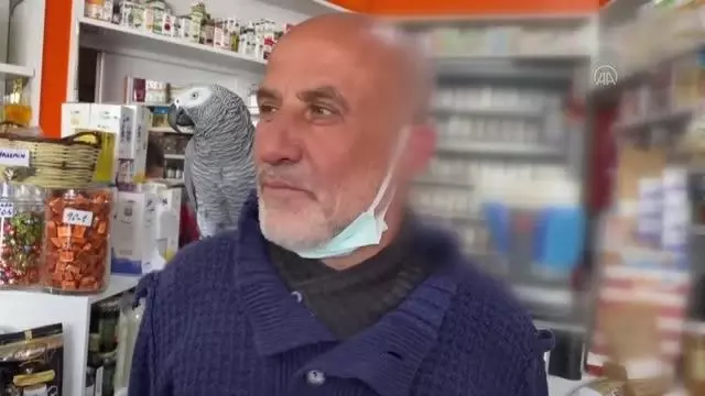 Müşterilerini omzundan ayırmadığı papağanı 'Paşa' ile karşılıyor Müşterilerini omzundan ayırmadığı papağanı 'Paşa' ile karşılıyor