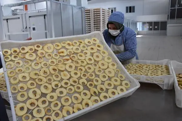 Niğde'de kurutulan yaş sebze ve meyveler yurt dışına ihraç ediliyor Niğde'de kurutulan yaş sebze ve meyveler yurt dışına ihraç ediliyor
