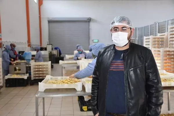 Niğde'de kurutulan yaş sebze ve meyveler yurt dışına ihraç ediliyor Niğde'de kurutulan yaş sebze ve meyveler yurt dışına ihraç ediliyor