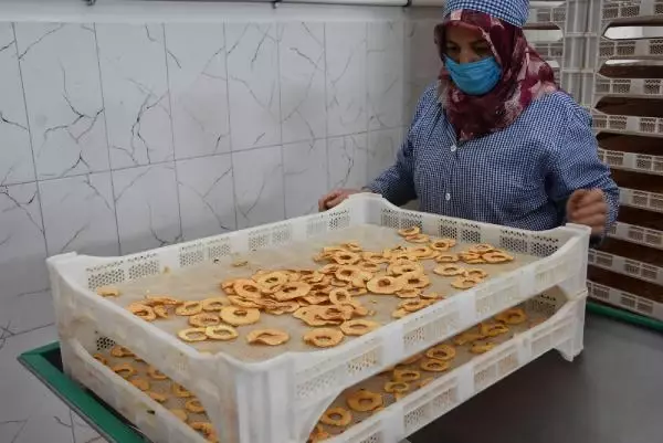 Niğde'de kurutulan yaş sebze ve meyveler yurt dışına ihraç ediliyor Niğde'de kurutulan yaş sebze ve meyveler yurt dışına ihraç ediliyor