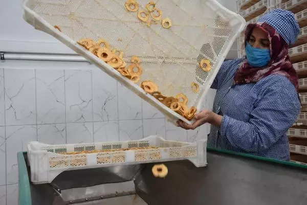 Niğde'de kurutulan yaş sebze ve meyveler yurt dışına ihraç ediliyor Niğde'de kurutulan yaş sebze ve meyveler yurt dışına ihraç ediliyor