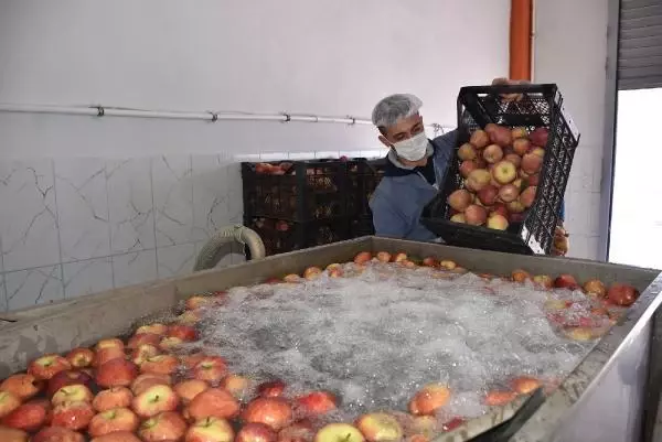 Niğde'de kurutulan yaş sebze ve meyveler yurt dışına ihraç ediliyor Niğde'de kurutulan yaş sebze ve meyveler yurt dışına ihraç ediliyor