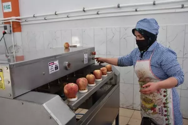 Niğde'de kurutulan yaş sebze ve meyveler yurt dışına ihraç ediliyor Niğde'de kurutulan yaş sebze ve meyveler yurt dışına ihraç ediliyor