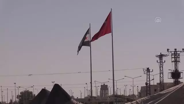 ŞANLIURFA - Akçakale Gümrük Kapısı'nda kamyonun damperinin altına gizlenmiş 6 güvercin bulundu ŞANLIURFA - Akçakale Gümrük Kapısı'nda kamyonun damperinin altına gizlenmiş 6 güvercin bulundu