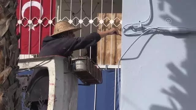 Şehit ailelerinin evlerine Türk bayrağı resmediliyor Şehit ailelerinin evlerine Türk bayrağı resmediliyor