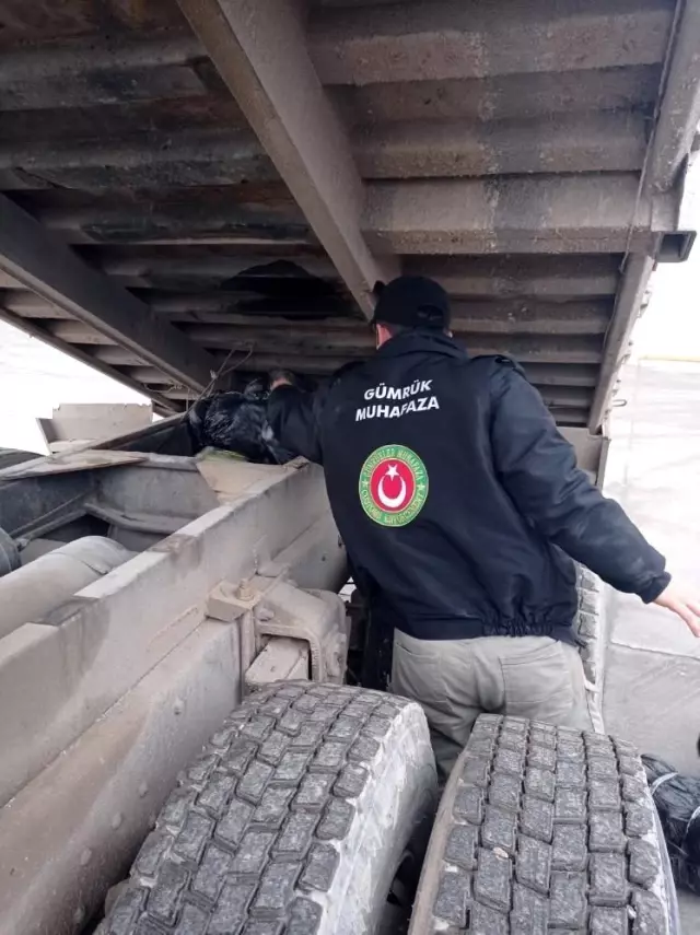 ŞANLIURFA - Akçakale Gümrük Kapısı'nda kamyonun damperinin altına gizlenmiş 6 güvercin bulundu ŞANLIURFA - Akçakale Gümrük Kapısı'nda kamyonun damperinin altına gizlenmiş 6 güvercin bulundu