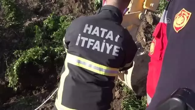 Son dakika haberleri: Su kanalına düşen deveyi itfaiye kurtardı Son dakika haberleri: Su kanalına düşen deveyi itfaiye kurtardı