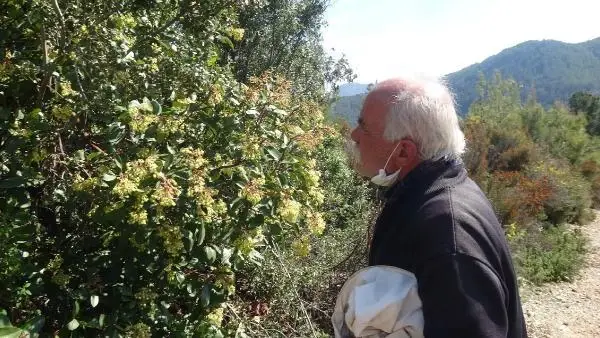 Yalancı baharın ardından gelen kış şartları arıcıları vurdu Yalancı baharın ardından gelen kış şartları arıcıları vurdu