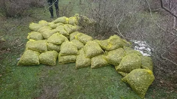 Yunanistan'a kaçırılmak istenilen 750 kilo midye, ormanlık alanda bulundu Yunanistan'a kaçırılmak istenilen 750 kilo midye, ormanlık alanda bulundu
