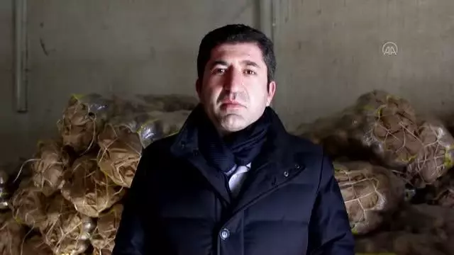 Zara Belediyesi ihtiyaç sahibi 260 aileye patates yardımında bulundu Zara Belediyesi ihtiyaç sahibi 260 aileye patates yardımında bulundu