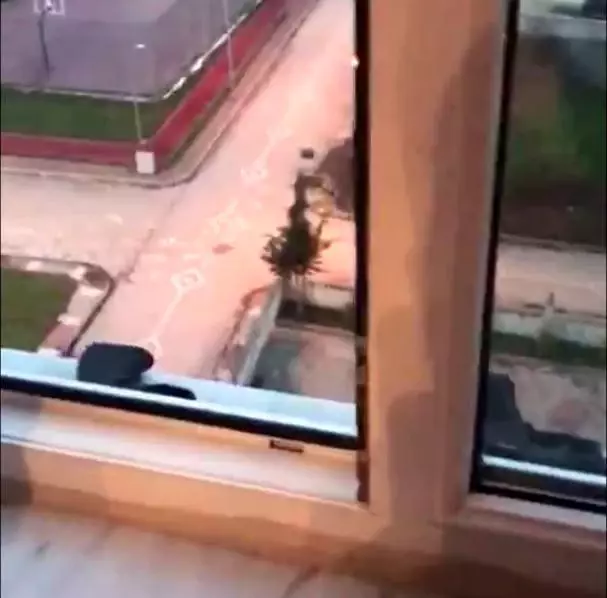 Samsun merkezli organize suç örgütü operasyonu: 57 gözaltı(2) Samsun merkezli organize suç örgütü operasyonu: 57 gözaltı(2)