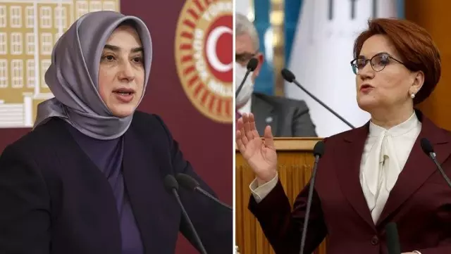 Akşener, AK Partili Zengin'in 'Onurlu kadın bir sene beklemez' sözlerine sert çıktı: Şu utanmazlığa bakar mısınız? Akşener, AK Partili Zengin'in 'Onurlu kadın bir sene beklemez' sözlerine sert çıktı: Şu utanmazlığa bakar mısınız?