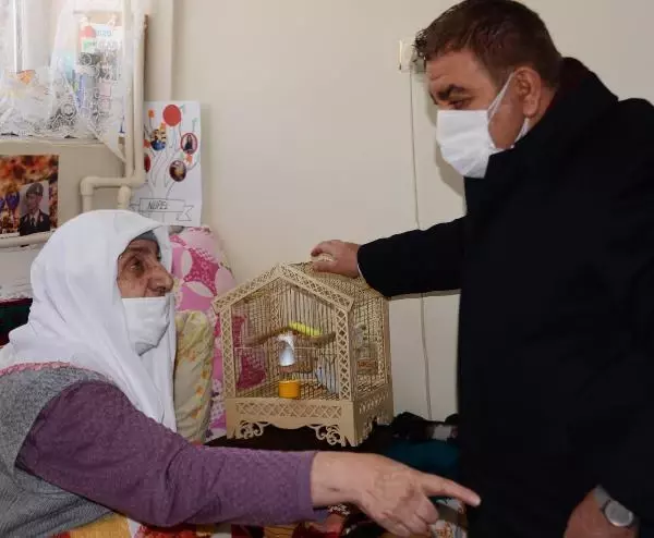 Belediye başkanı, Sevgi ninenin muhabbet kuşu isteğini yerine getirdi - Yeniden Belediye başkanı, Sevgi ninenin muhabbet kuşu isteğini yerine getirdi - Yeniden