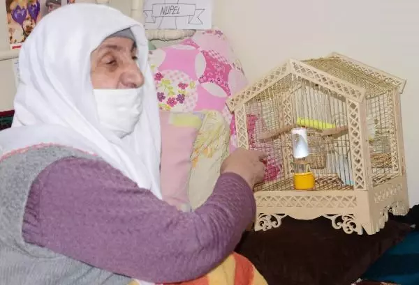 Belediye başkanı, Sevgi ninenin muhabbet kuşu isteğini yerine getirdi - Yeniden Belediye başkanı, Sevgi ninenin muhabbet kuşu isteğini yerine getirdi - Yeniden