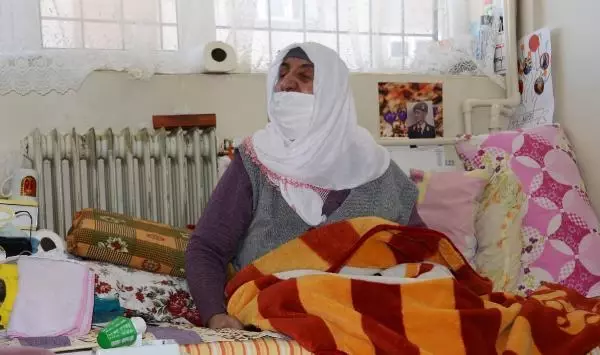 Belediye başkanı, Sevgi ninenin muhabbet kuşu isteğini yerine getirdi - Yeniden Belediye başkanı, Sevgi ninenin muhabbet kuşu isteğini yerine getirdi - Yeniden