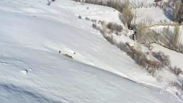 Besiciler dik yamaçlardan kızakla taşıdıkları ağaç dallarıyla hayvanlarını besliyor Besiciler dik yamaçlardan kızakla taşıdıkları ağaç dallarıyla hayvanlarını besliyor