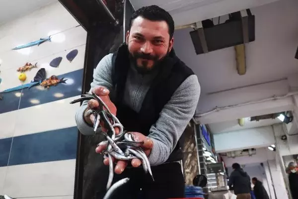 Çanakkale'de havalar ısındı balık tezgahları doldu, fiyat düştü Çanakkale'de havalar ısındı balık tezgahları doldu, fiyat düştü