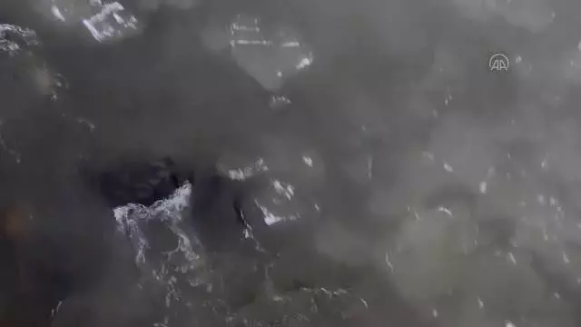 Dere ve nehirler dondu, bina çatılarında buz sarkıtları oluştu Dere ve nehirler dondu, bina çatılarında buz sarkıtları oluştu
