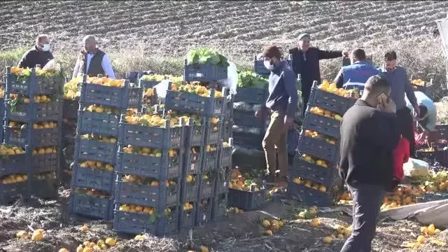 Devrilen kamyonun sürücüsü yaralandı Devrilen kamyonun sürücüsü yaralandı