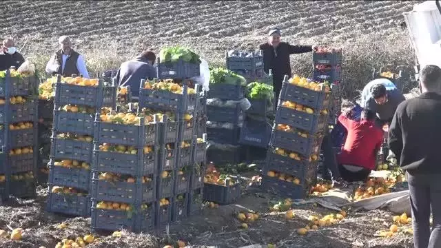 Devrilen kamyonun sürücüsü yaralandı Devrilen kamyonun sürücüsü yaralandı