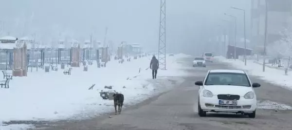 Doğu'da en soğuk il Ağrı; eksi 19 derece Doğu'da en soğuk il Ağrı; eksi 19 derece
