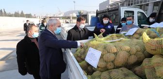 Gebze Belediyesi 25 ton patatesi dağıtmaya başladı